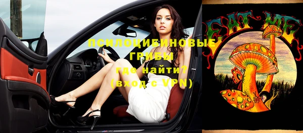 ГАЛЛЮЦИНОГЕННЫЕ ГРИБЫ Нязепетровск