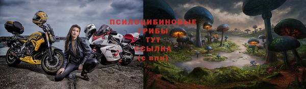 2c-b Новокубанск