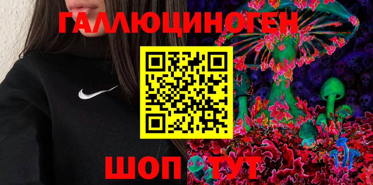 Галлюциногенные грибы MAGIC MUSHROOMS  Галлюциногенные грибы Psilocybine cubensis  Волгоград 