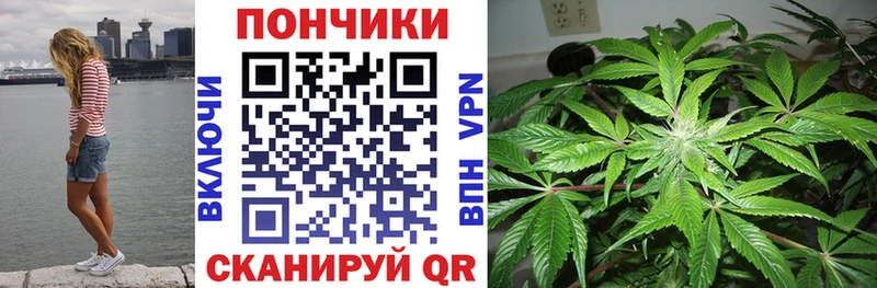 МАРИХУАНА Amnesia где найти Волгоград